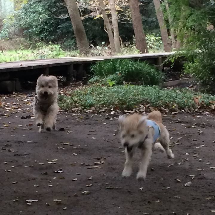 F205cec7 4719 4b3c b9e4 583a3acf3170