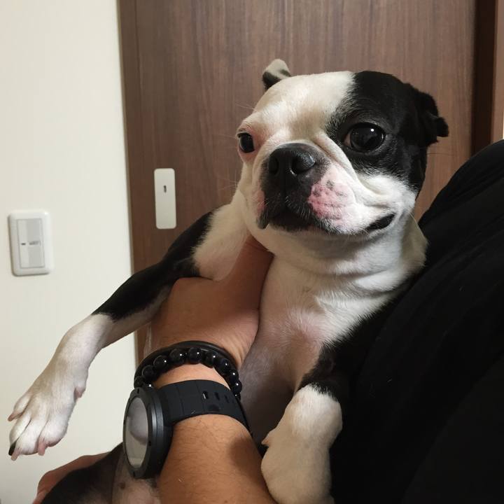 F206097f d7e5 439a bf24 b4aea42bd4f8