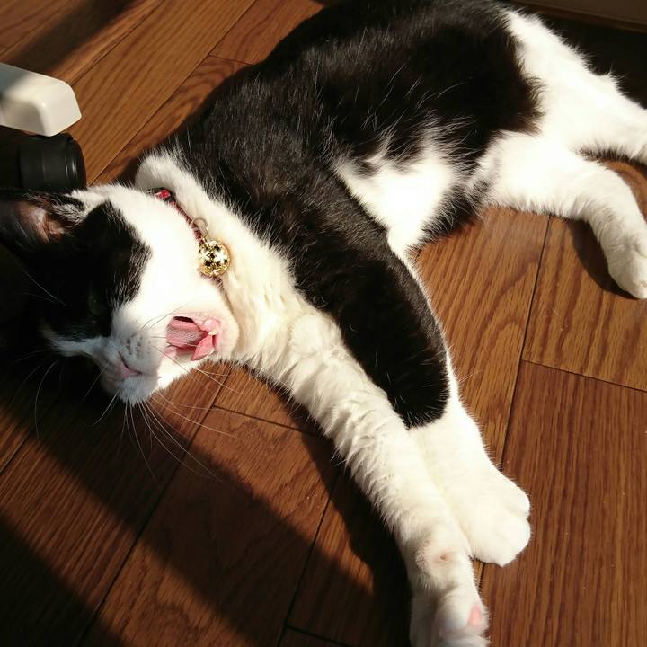 F20619c4 4953 42cf a7b4 d3143bf7bfe2