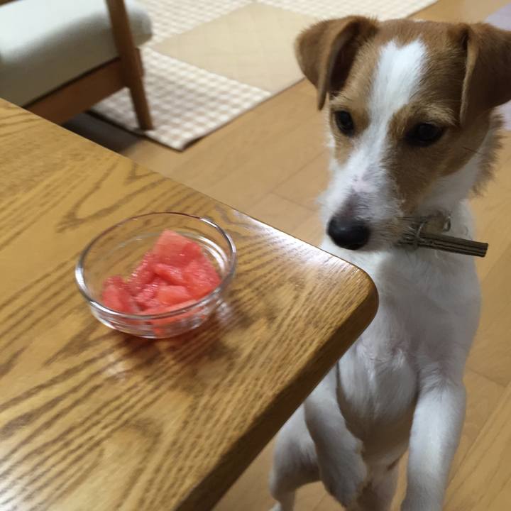 F2062ae7 1805 4d12 aee5 bae3a16a1092