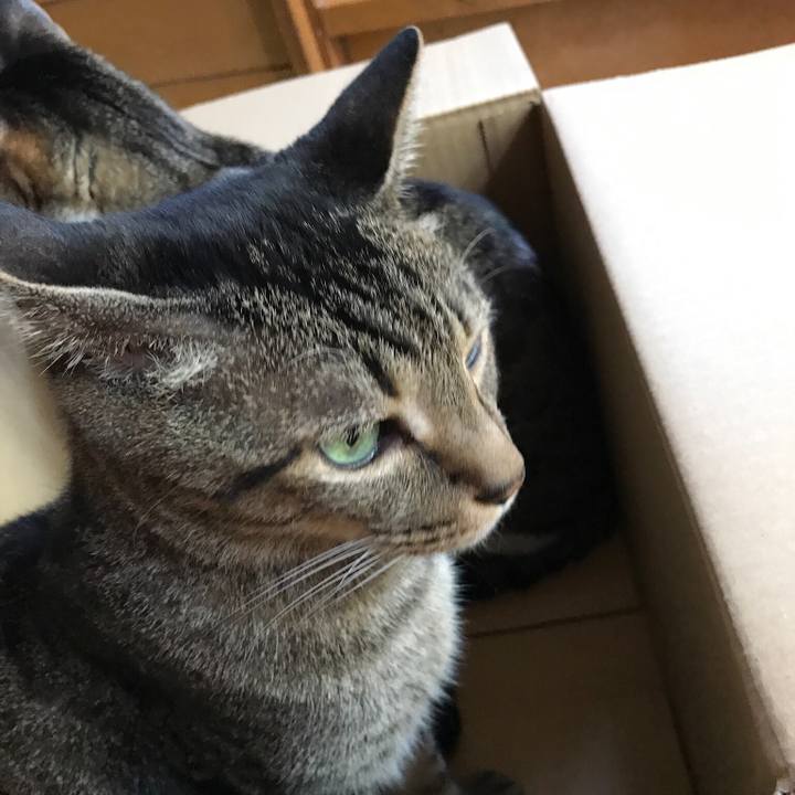 F2063eea c746 4937 83ef 2ed29e4df58b