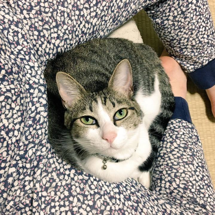 F2069fca 259b 4c52 810c ddfe0f52b6d6