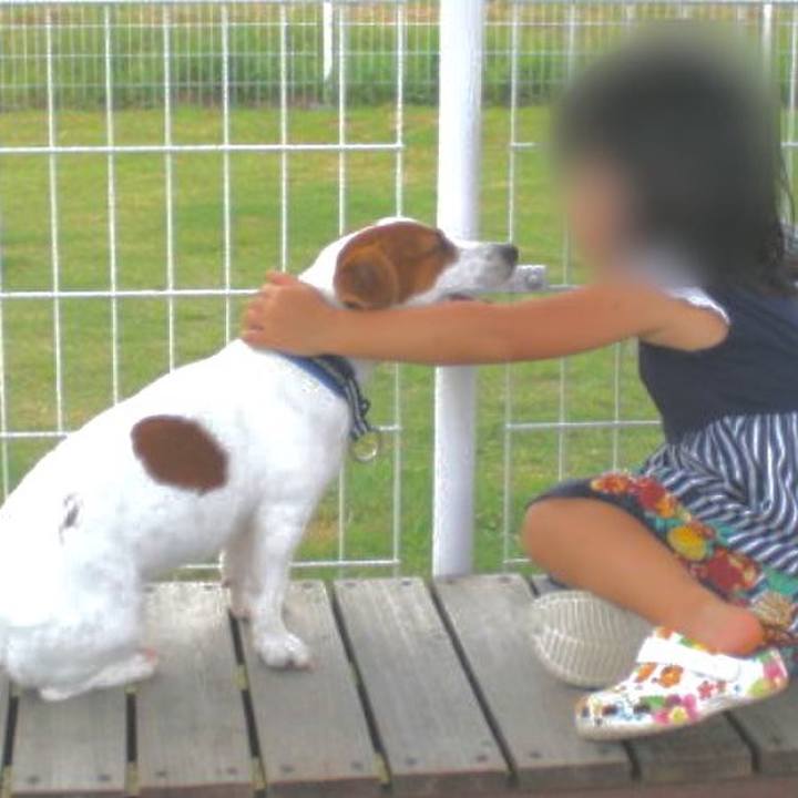 F206f864 b959 4013 8941 0de359e75de6