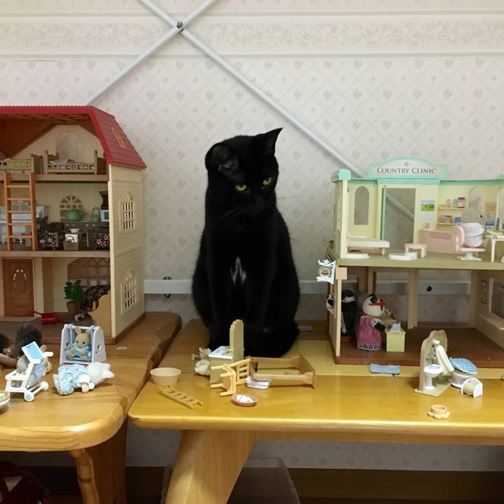 F2076114 875a 42c1 ad89 3fcf8604ba90