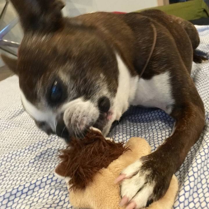 F2079f57 4daa 4f87 bf65 be11e93a9324