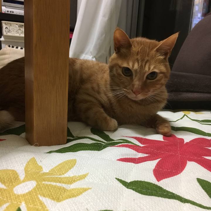 F2081496 a98c 4080 b4ad e78de61afa04