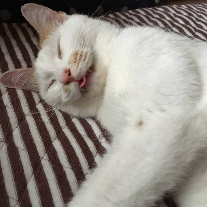 F2084f3d 903e 4201 82b6 7069d1819823