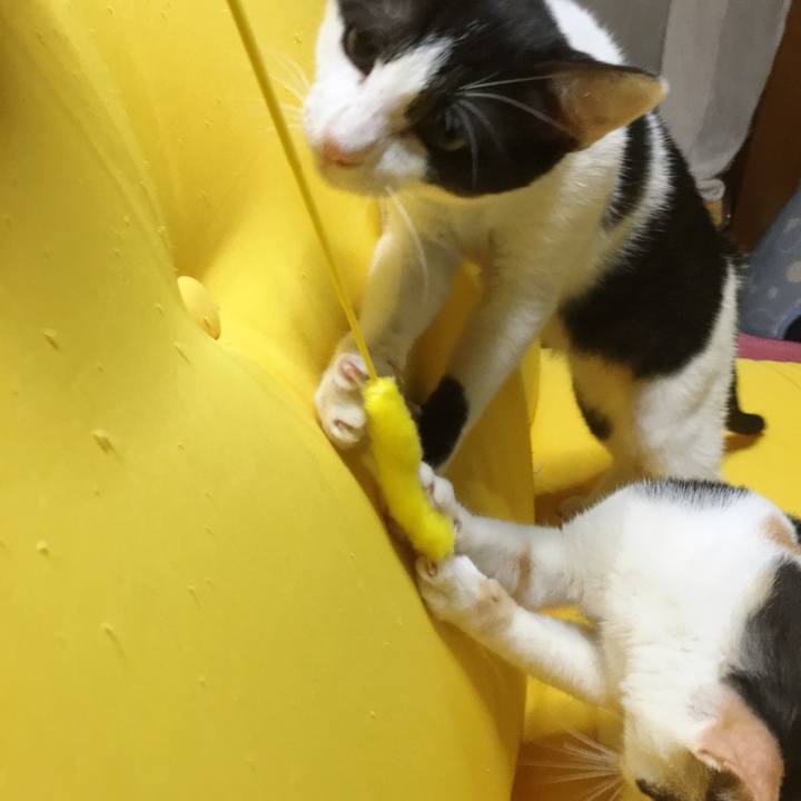 F2087a7e e437 4ebe a9bc 1b01c25f57fa