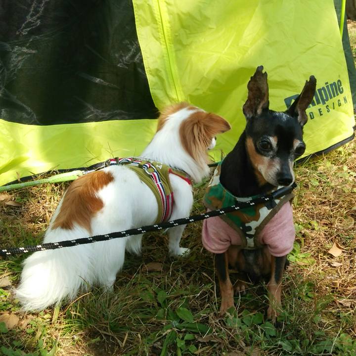 F209f701 9539 4b8c 9df0 544e1f0e49ec