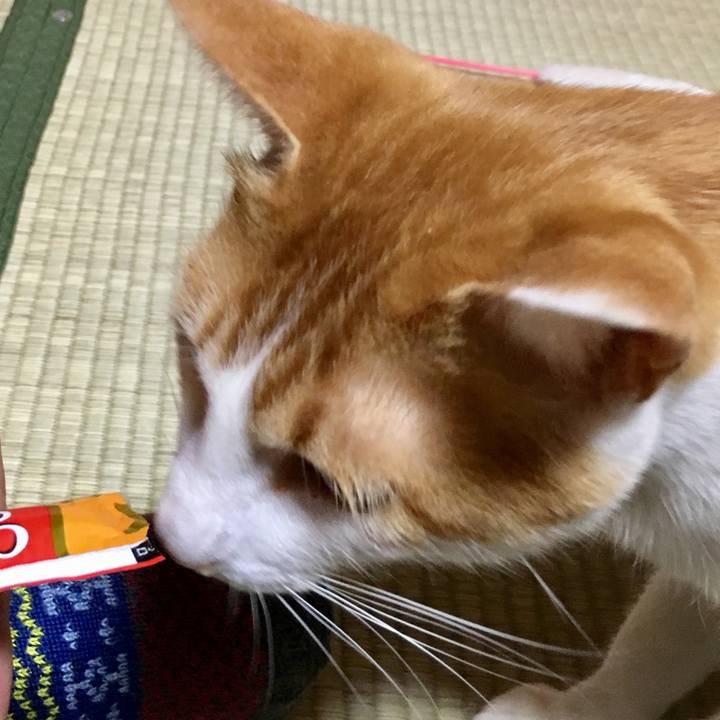 F20a6eab dece 401e 98ae 60dea3726d6e