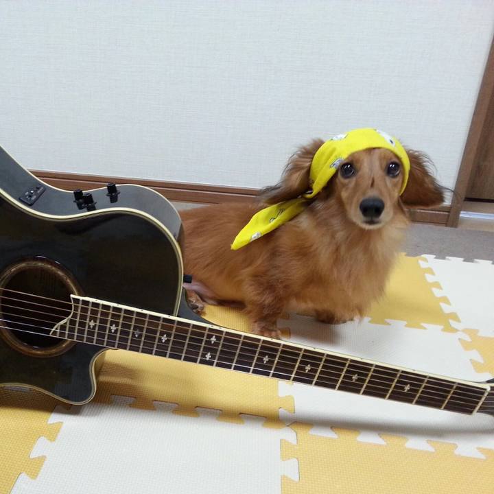 F20ae96b ca35 4c85 a8df 2a86f626e501