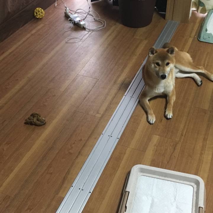 F20b167e b1ba 49d9 a4a8 f6c72ac97fd9