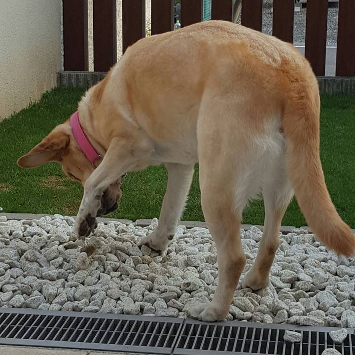 F20b3dd0 eb79 4c4d 88fa 38752cef8bb2