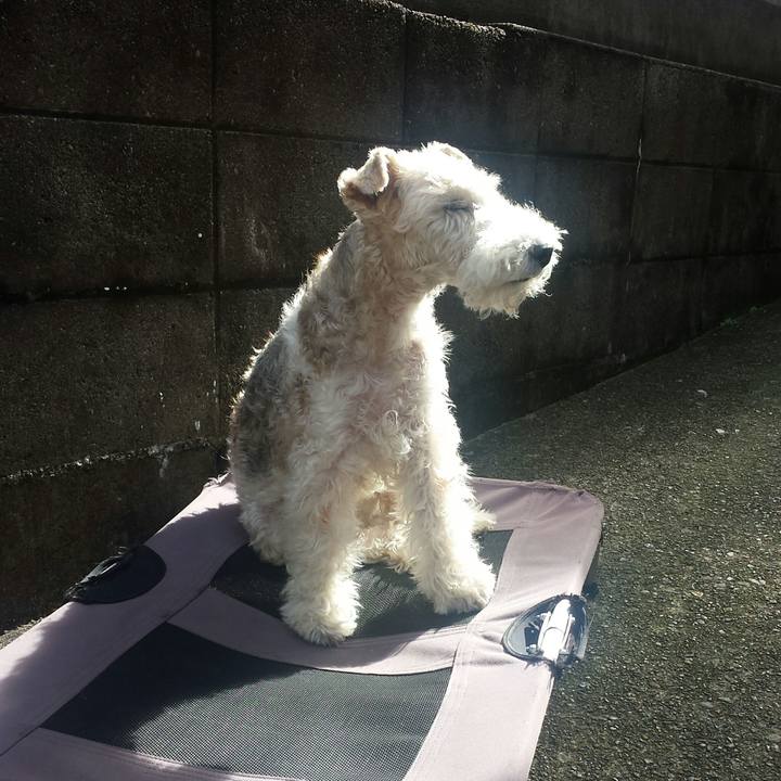 F20b9fd5 3fd3 4bf2 86e9 7a5548056776