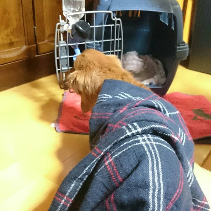 F20bbd0c f408 4e65 8260 fdf9cffa7694