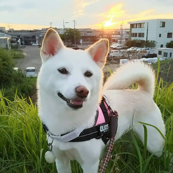 F20bfb3b 193e 44ab a1c9 fd0a1452be6a