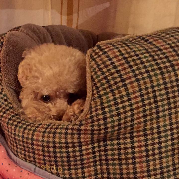 F20c36a8 bc93 4548 9eb4 afc694d2debd