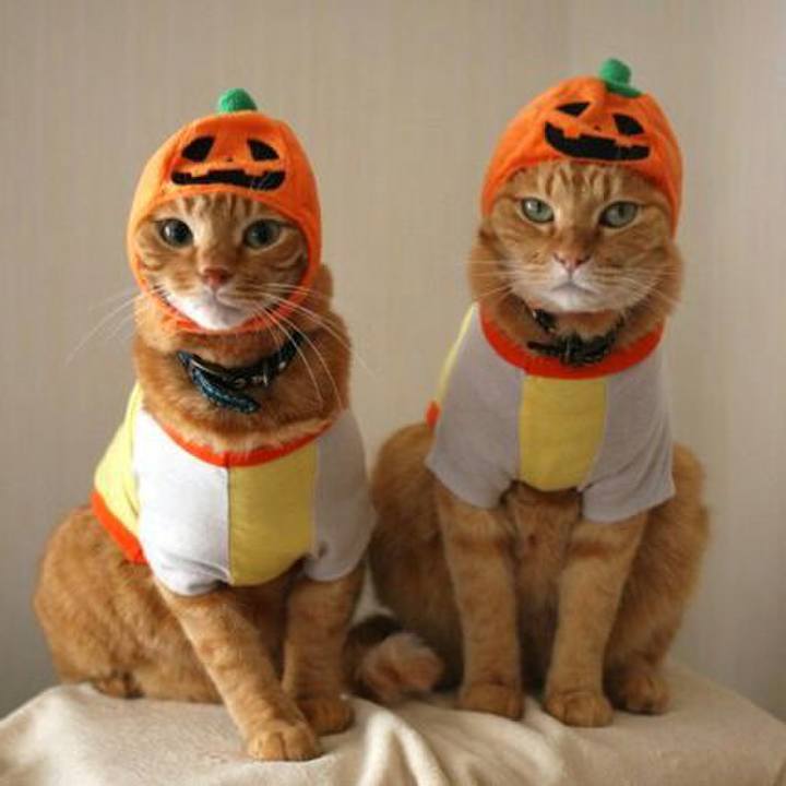 F20c5364 134c 419d a344 47921280ef3e