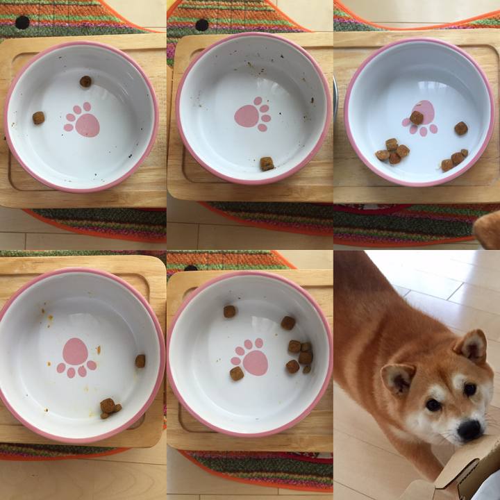 F20d547a 354f 4aca b161 19ffd6156733