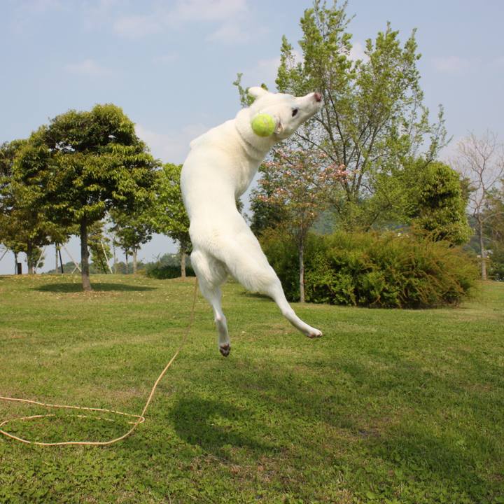 F20d8156 4452 446b b3cd 582c89d5b2b8