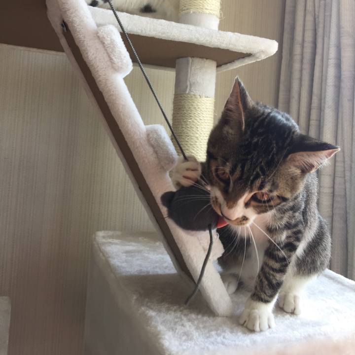 F20eb925 4710 4d9b b56a 7cc6c1bb796d