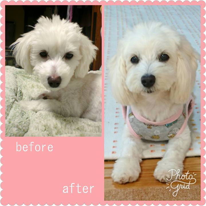 F20f7147 869c 4206 9a73 cc4e52c35f55