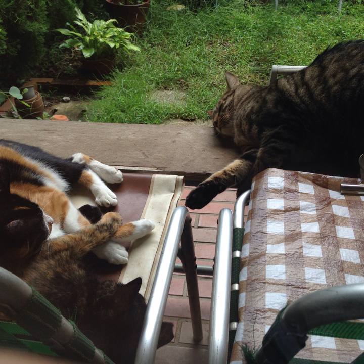 F20fab99 1efb 46cb 8f92 3db3581e8d31