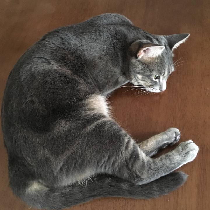 F2104bf9 29b9 459c 9be5 db4416094aaf