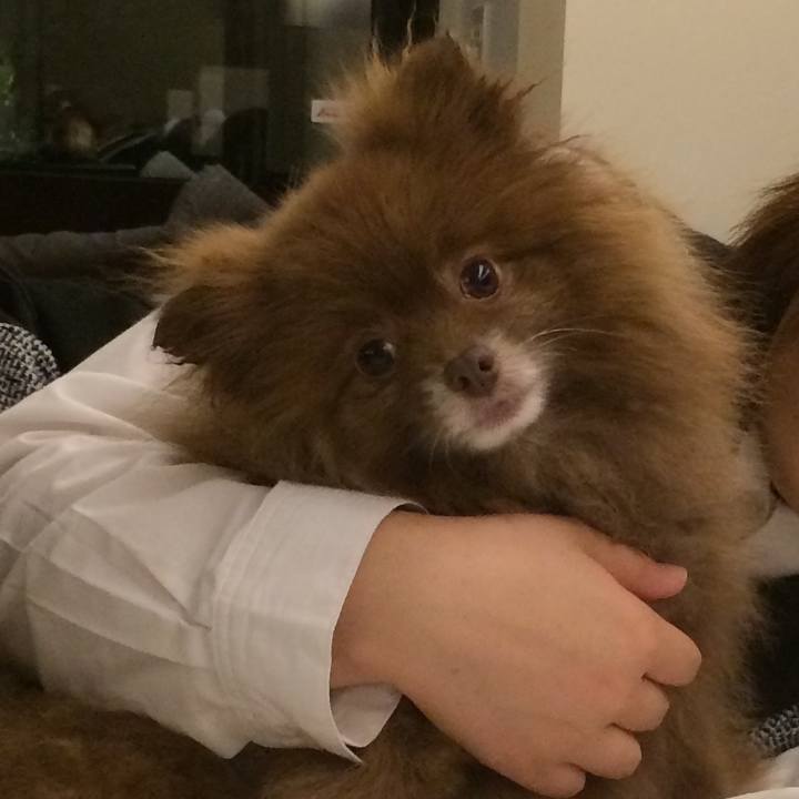 F210dc9f 30ee 4842 be0e 3375f89c5366