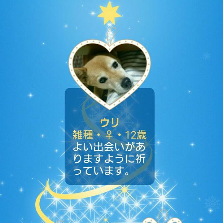 F21150e9 c690 4bd5 86b0 3fd5d33f8d16