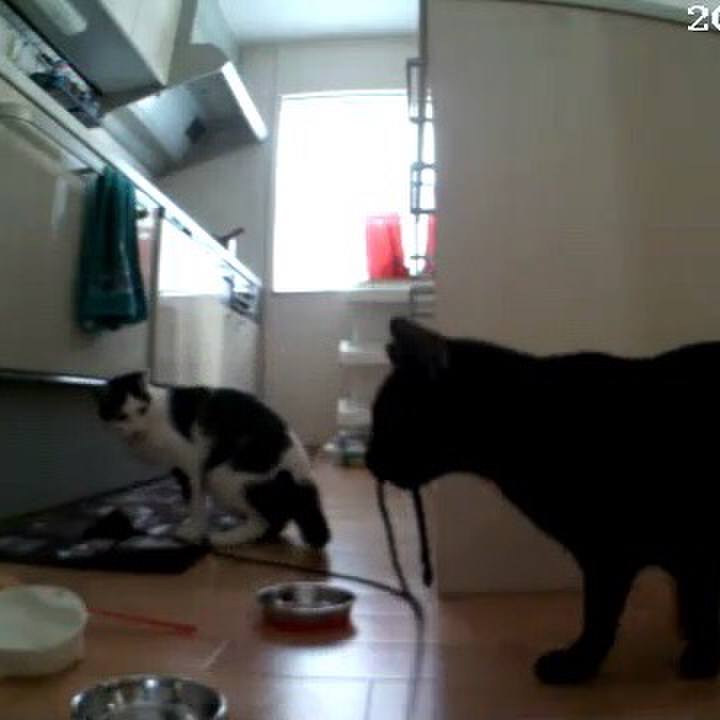 F2116899 f2db 423b 8610 c928e58c08cd