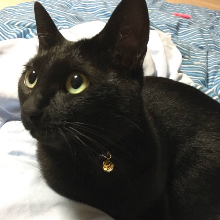 F2118b02 565d 4931 a53d 4c5e24cb8ddd