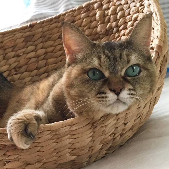 F211f11d a88b 45bc 906e 3400121456d1