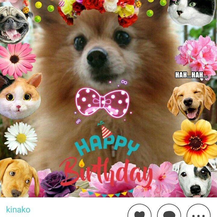 F2122f96 6b29 45a6 9a20 2d92e109eb80