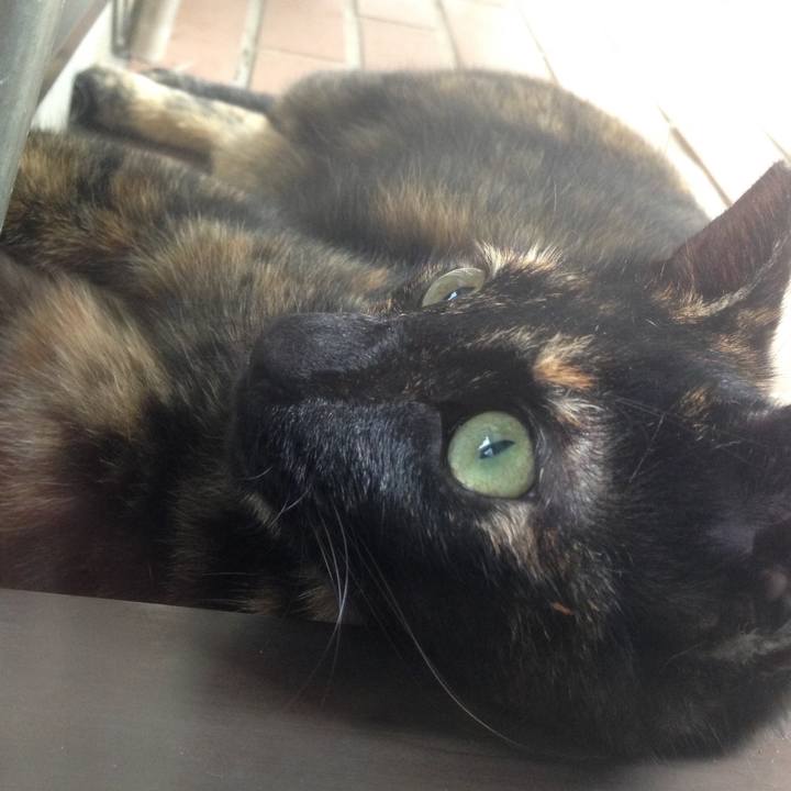 F212558d 9c1a 4a14 9d4a bc5b974ca9e5