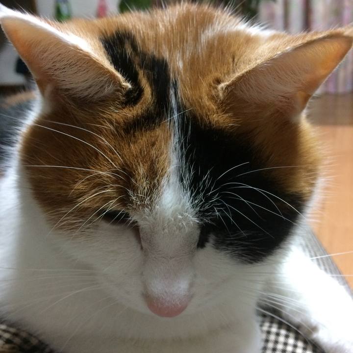 F2126339 295a 42df 81b2 8849f4f862b8
