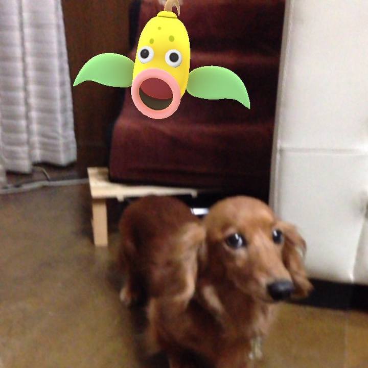 F212e626 227a 43c6 8c8d cd016f7dbeed