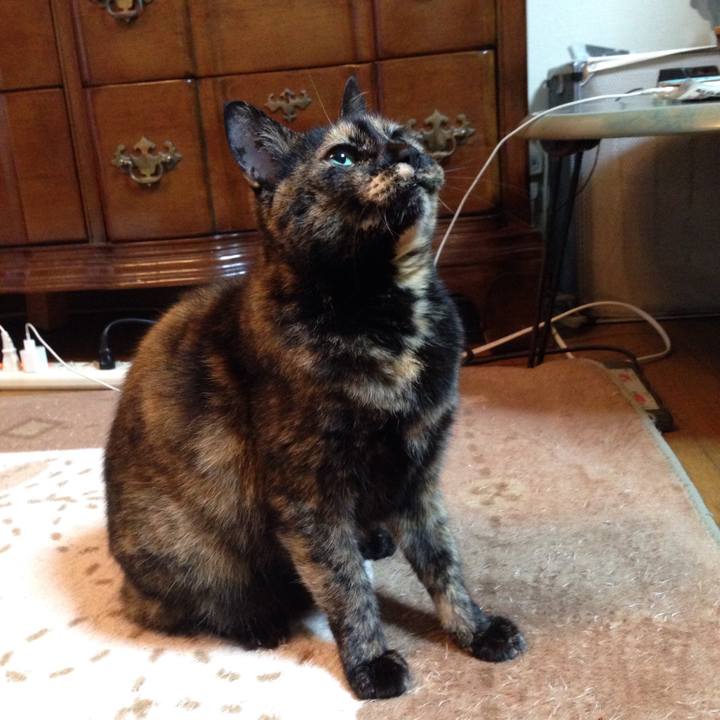 F212ecc8 5835 4a78 a874 88f61e766dce