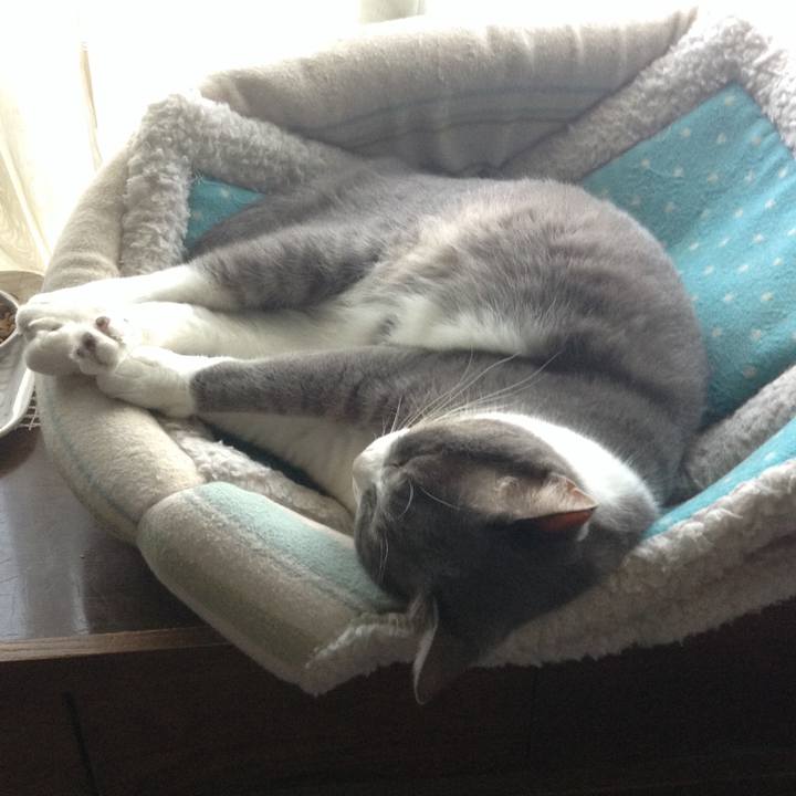 F2130be9 ecf3 48fe aa2d c4f6af1d1da1