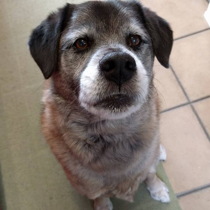 F21370f0 af80 4167 950d 807ae692c927