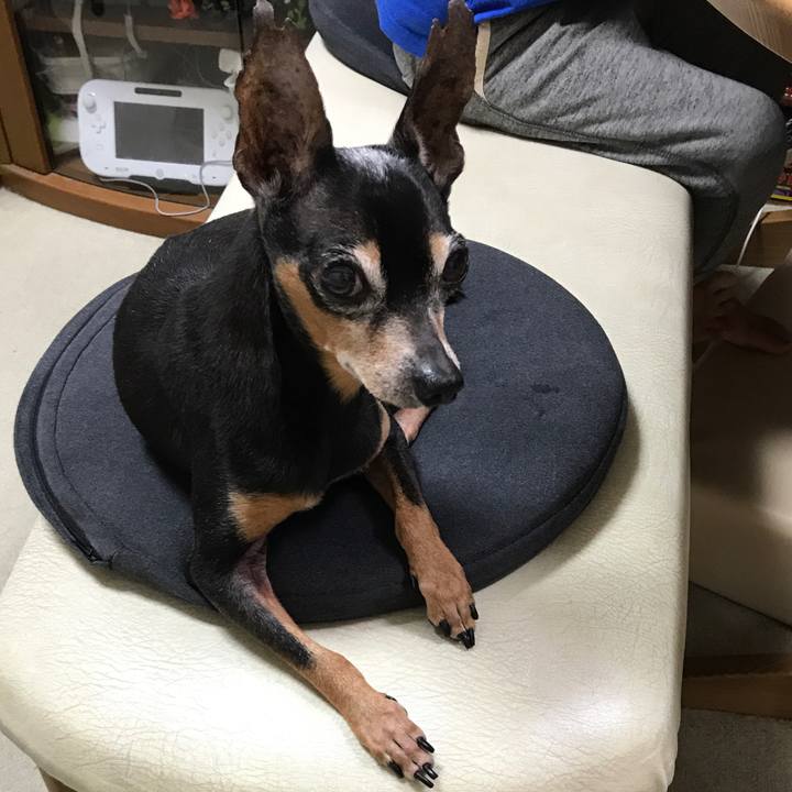 F2138b1e f065 493d ac9f 66165718932e