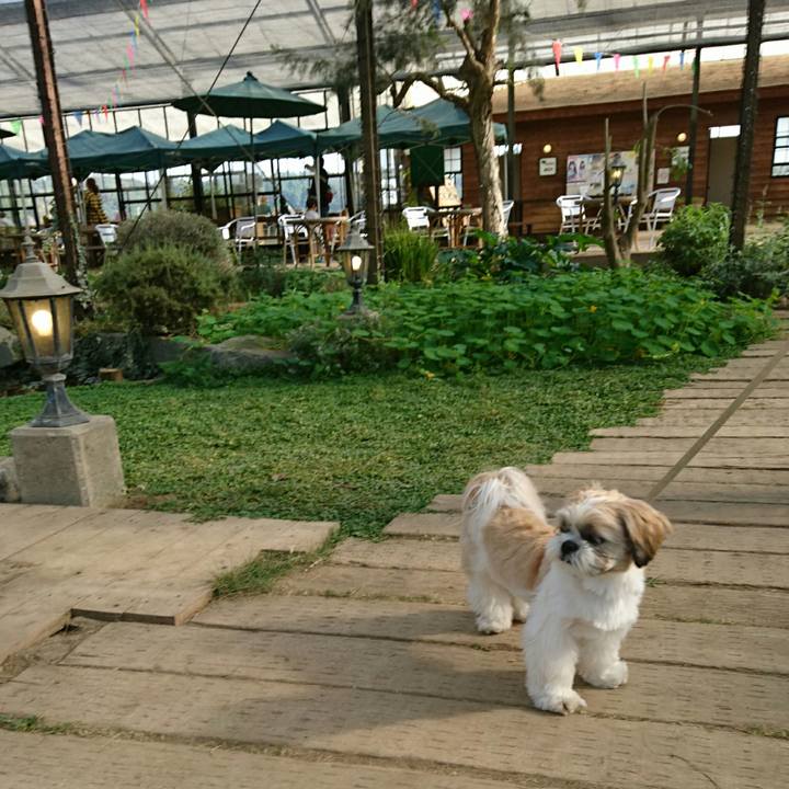 F214000c dcad 405e 8ff3 f890ab38c5c8