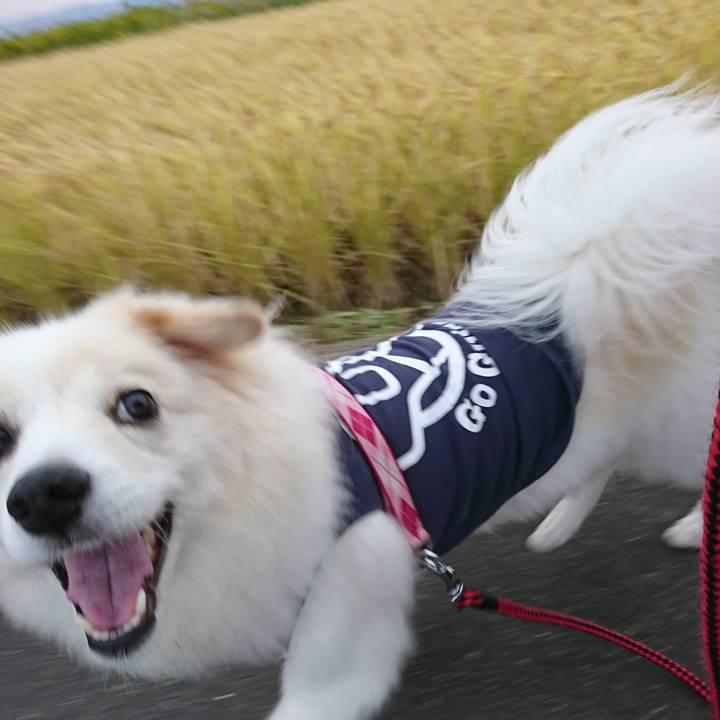 F21465d1 2714 4703 98df 608396157369