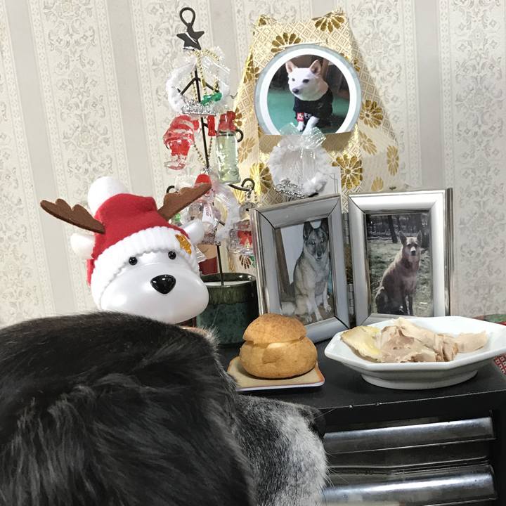 F2147171 c9e1 47b0 a235 e009225ca311