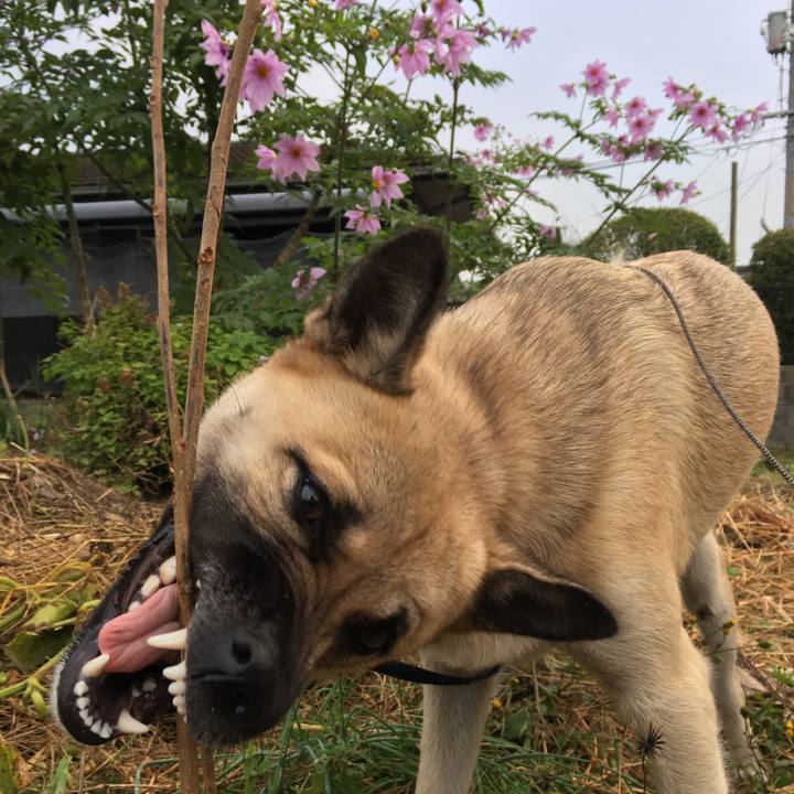 F215d63f 765f 4b93 ba67 72b4d45c6fed