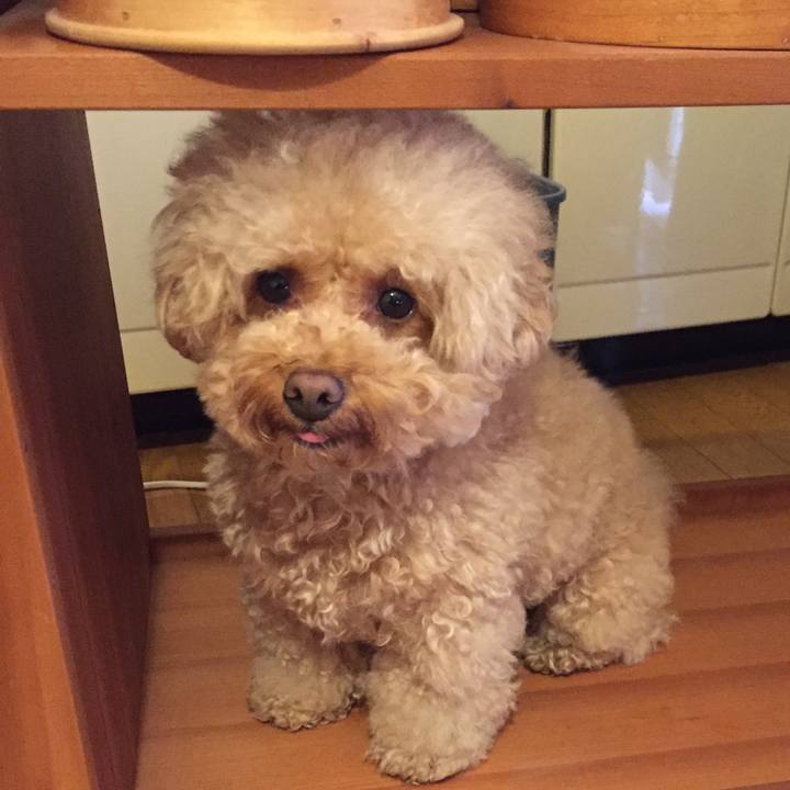 F216485d 730c 41bc b208 5cb60fa4a839