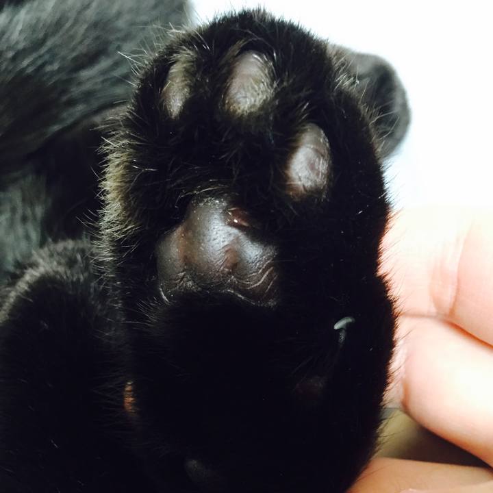 F21658a4 558e 4090 aae6 7fa169169e85