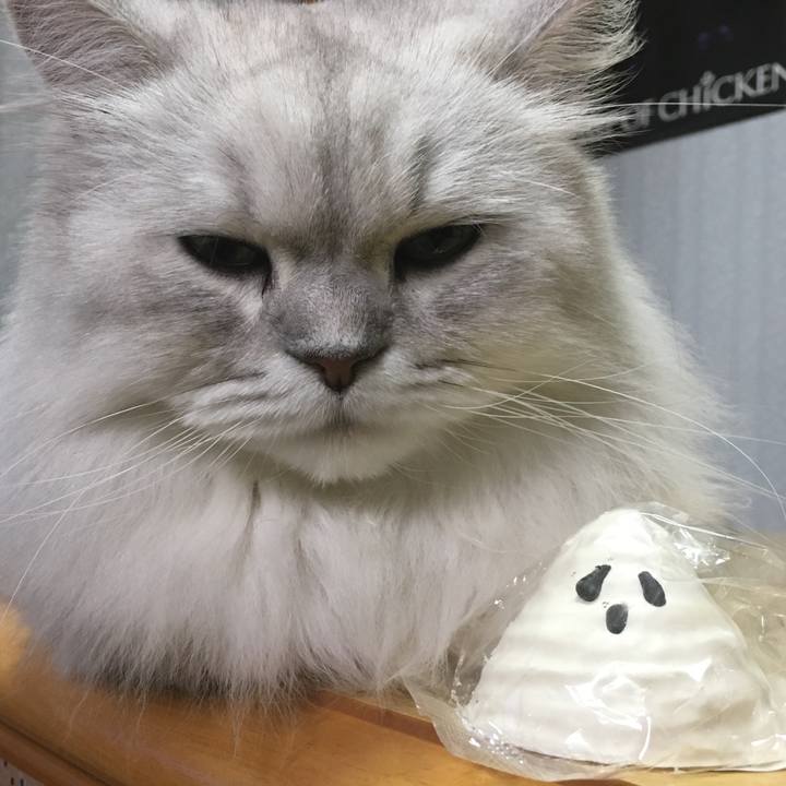 F2167498 9c71 49ec 9d11 98797ff277ac