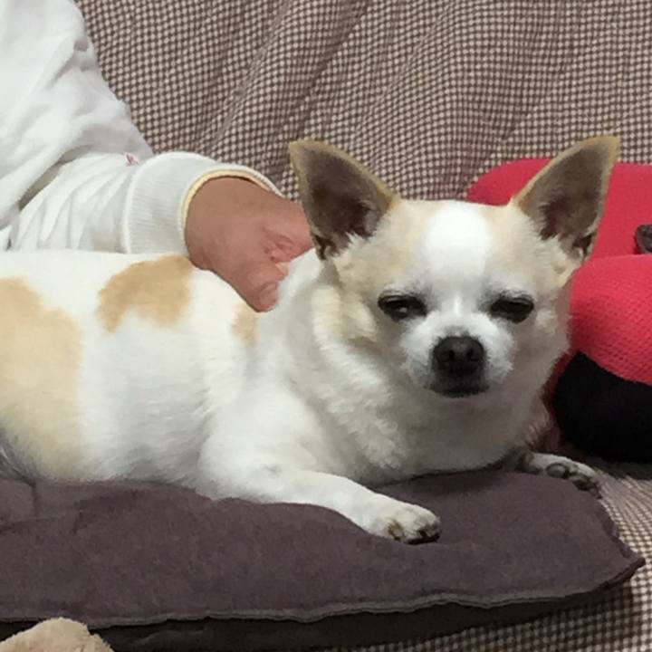 F21690d7 6f00 4df7 a24c 0a04fb20b9cd