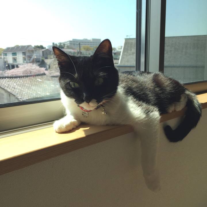 F216c729 c483 424b 9a8a 385f5be5baa2